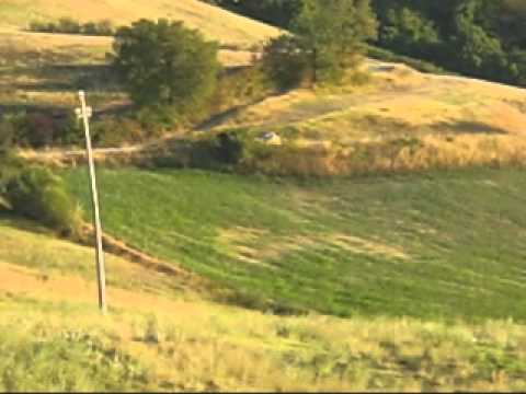 15°RALLY CARPINETI P.S.2 BEBBIO CAGNI D.-PATTACINI E.avi