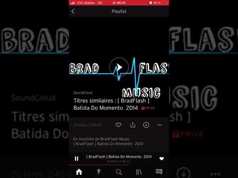 Brad Flash - Batida do moments