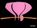 Looney Tunes Merrie Melodies 1966 Opening And Closing Fisheye Pitch