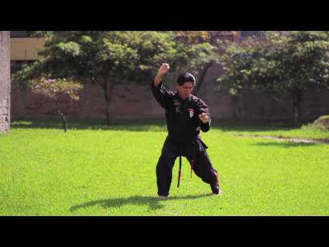 AMERICAN KENPO ECUADOR  KENPO SHORT FORM 2 FORMA CORTA 2