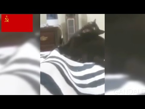 USA VS USSR MEMES COMPILATION 5