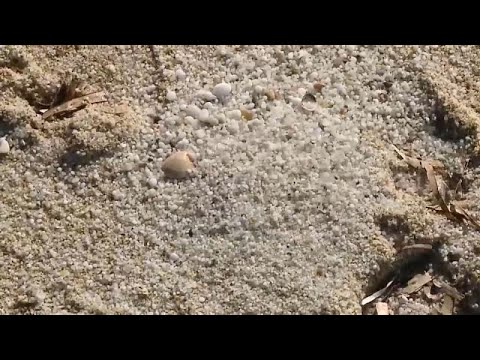 Verbotenes Souvenir: Sanddiebstahl auf Sardinien