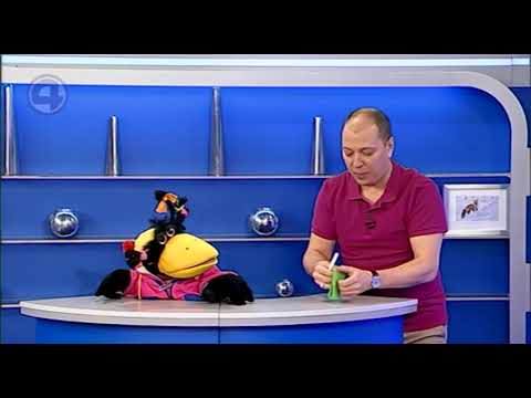 Капашилки