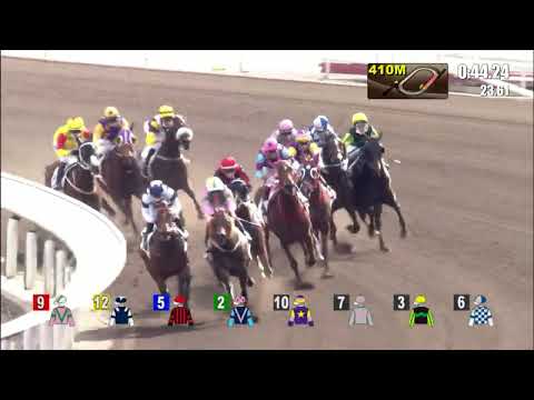 30/1/2022 (380) Majestic Star - K Teetan