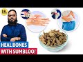 Sumbloo Booti Ke Fawaid! | Indian Berberry Benefits for Bones | Sumbal | Dr. Ibrahim
