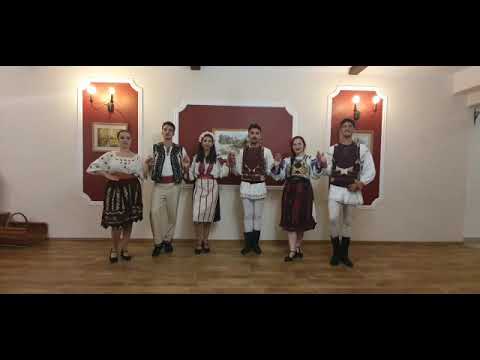 Hora (Romanian Dance) - basic steps