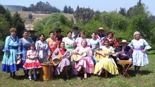 preview picture of video 'Taller de recreación folclórica de canto y danza'