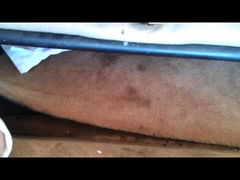 ML320 fuel pump replacement part 1