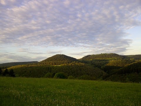 Juliwald (St. Thomas, Zendscheid, Waldeifel, Kyll)