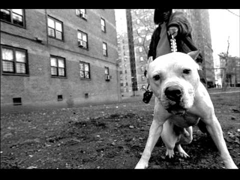 Obi-1 (Tvrd Zid) - Dobrodosli u podzemlje