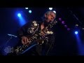 The Sonics - Strychnine (Live at Dig It Up! Sydney) | Moshcam
