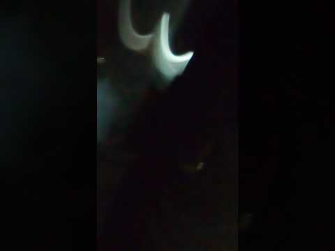 La carrera más épica del mundo