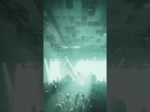 Trippy Land - Mersiv x Tape B x Juicy J OUT NOW! #mersiv #trippyland #edm #shorts