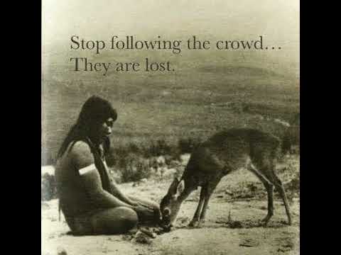 (free) xangang x aphex twin type beat "risk it all"