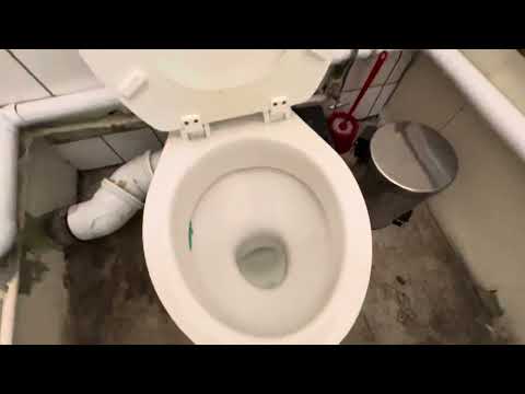 Low level Lecico "Delta" pan | Neon/Amaro cistern (Depressing find)