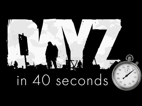 DayZ in 40 Seconds