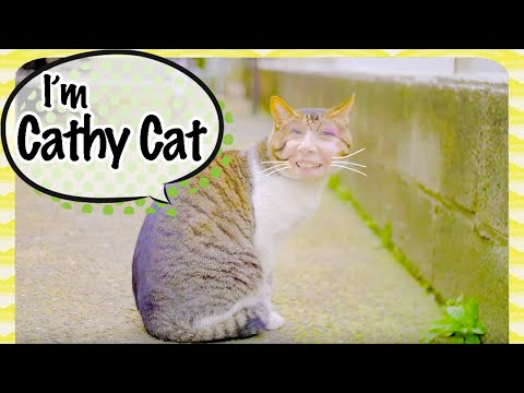 "日本の猫 "のナレーション ("A Cat in Japan" voiceover)