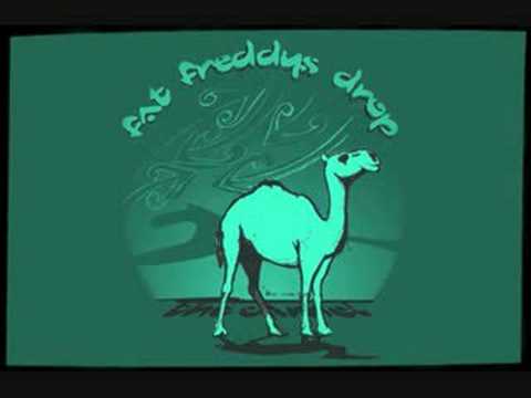 Fat Freddy's Drop - The Camel
