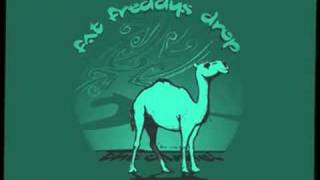 Fat Freddy's Drop - The Camel