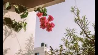 Dreamers - Jean Philippe Verdin