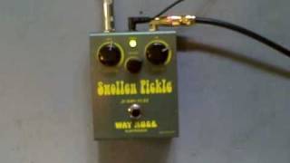 Video thumbnail for Original Way Huge Swollen Pickle by Steve Parish