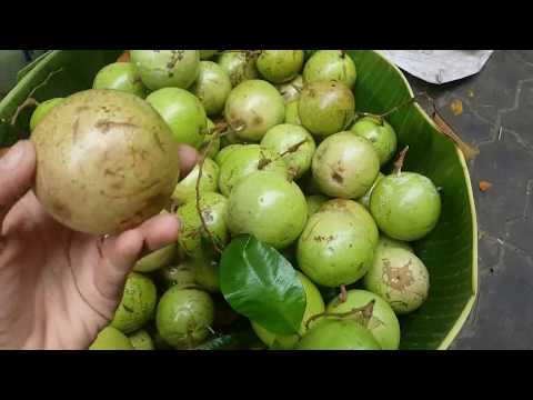 Asian Street Food 2018 - Amazing Mix Street Food In Phnom Penh - Cambodia Video