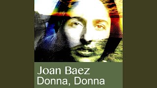 Virgin Mary Had A Son