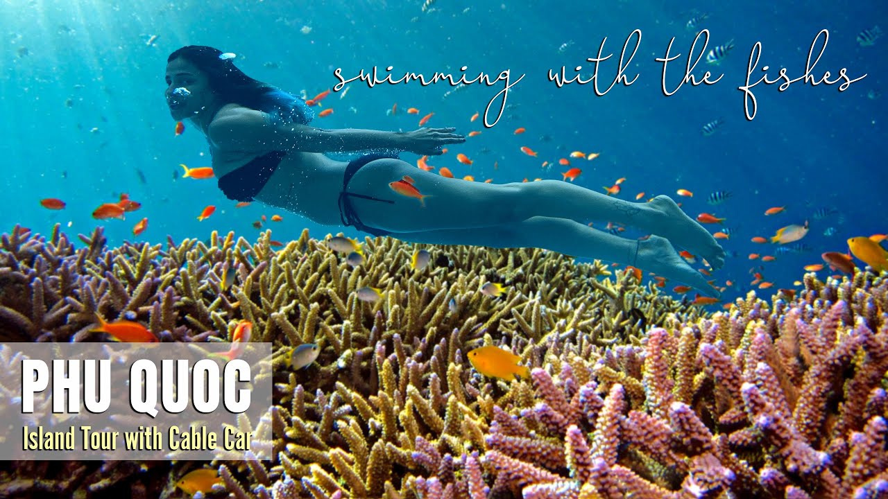 A traveler experiences 4 Island Hopping Day Tour with visit to Aquatopia Water Park.