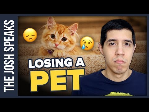 How To Deal with Losing a Pet 🐶☠🐱