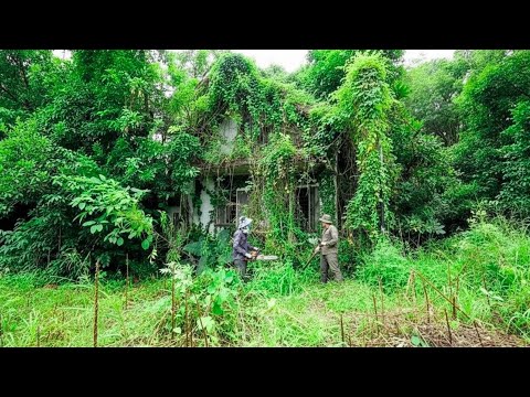 Reviving a house buried for 35 years and the surprising outcome - Free cleanup.