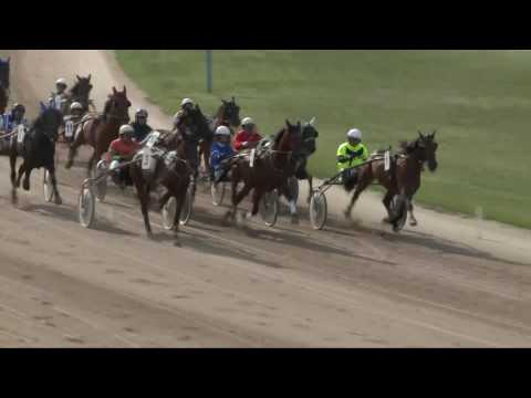 2017.07.15. 6. futam - 2017. ÉVI KINCSEM PARK KUPA HENDIKEP IV. FUTAM