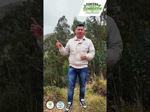 🌳 ¡CUASPUD CARLOSAMA SE UNE PARA SEMBRAR VIDA! 💚🌳