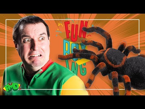 Caution.... Giant Spider