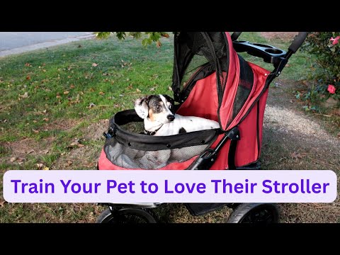 Train Your Pet to Love Their Stylish Dog Stroller