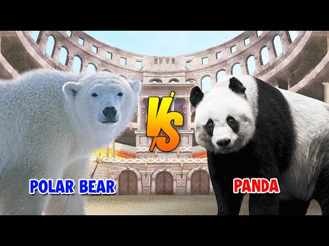 Polar Bear vs Panda | SPORE