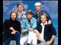 The Beach Boys - Crack At Your Love (jones beach NY 7.19.85) live