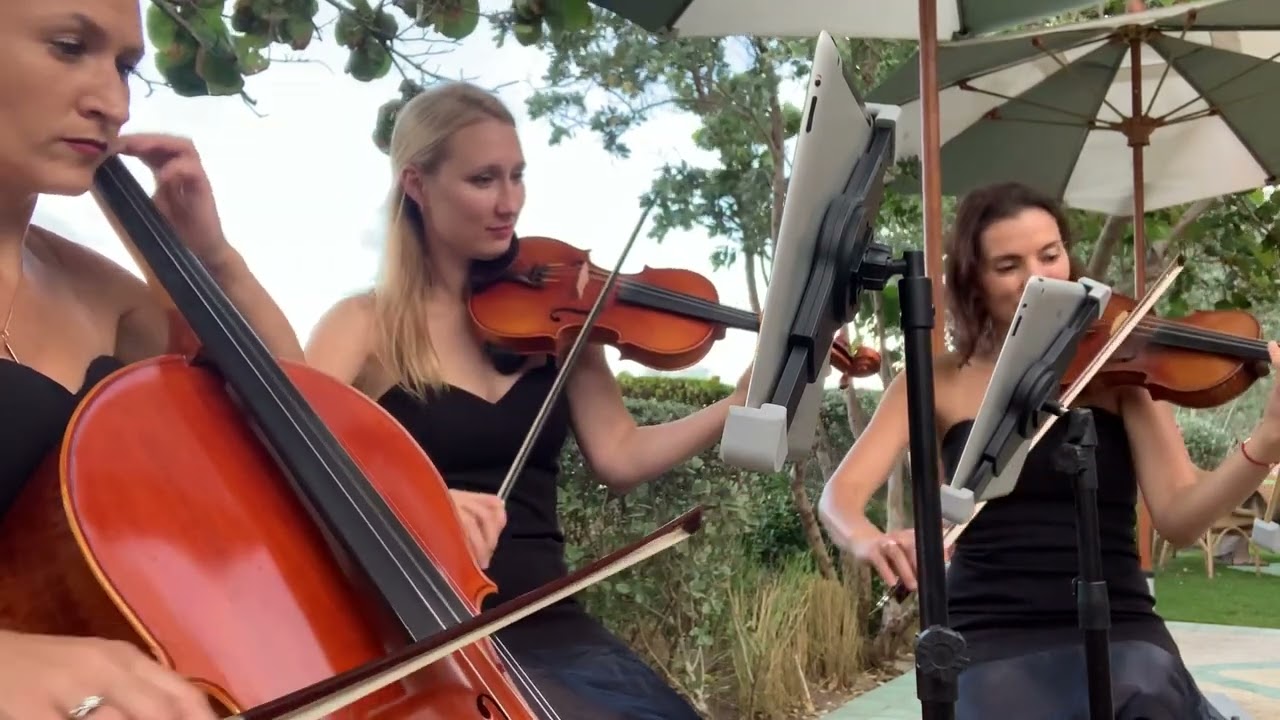 Promotional video thumbnail 4 for Stella Strings