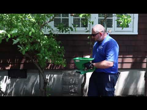 Summer Home Filled with Spiders, Ants, and Mice in Point Pleasant, NJ