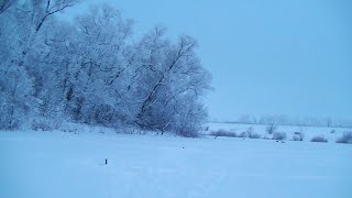 Ловля щук в липецкой области