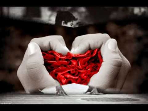 GiovanniRuizMelendez’s Video 60183263670 fPgEW0qFQQo