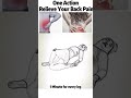 One Simple Action For Women To Relieve The Back Pain At Home Backpain Backpainrelief Shorts