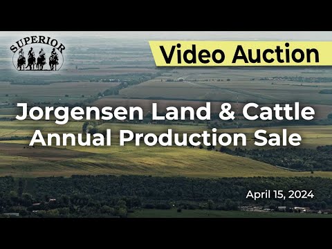 Jorgensen Land & Cattle Top Cut Bull Sale