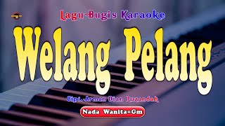 Download lagu WELANG PELANG KARAOKE NADA CEWEK ~ LAGU DAERAH BUGIS TANPA VOCAL mp3