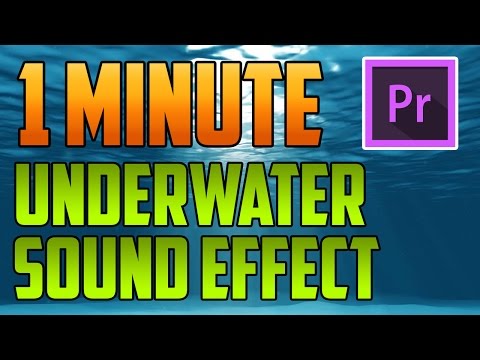 Premiere Pro Podcast Voice Tutorial