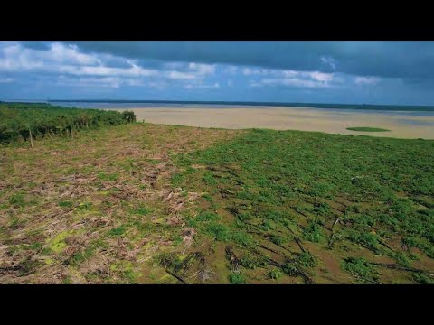 Land For Sale Ilamija, Ibeju Lekki Lekki Lagos