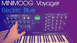 Video thumbnail for Moog Minimoog Voyager Electric Blue | Review - Analog Monster? by Integraudio