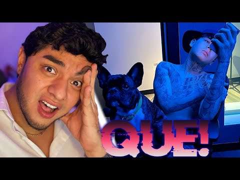 REACCIONANDO a STRANGEHUMAN FT GIANLUCA - Fruta E Verdura