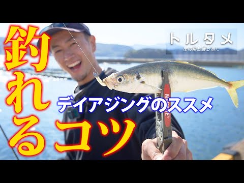 簡単！デイアジングのコツ教えます / 《トルタメ #6 》