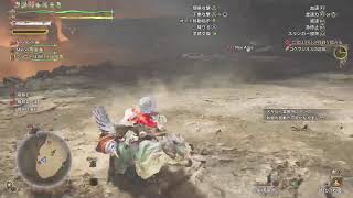 モンハン　適当に倒していく