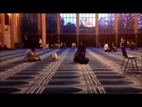 download lagu mp3 mp4 Bimbo Sajadah Panjang, download lagu Bimbo Sajadah Panjang gratis, unduh video klip Bimbo Sajadah Panjang